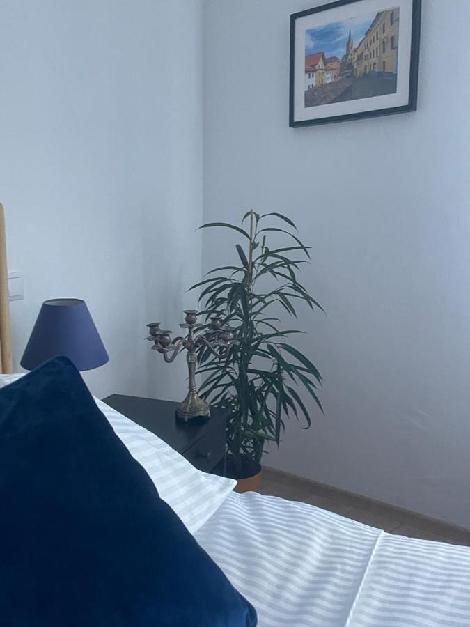 Sweet-Bombon Sibiu Lägenhet Exteriör bild